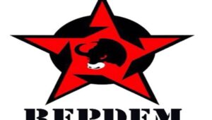 Relawan Perjuangan Demokrasi REPDEM