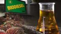 Biodiesel B50